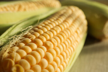 corn on the cob