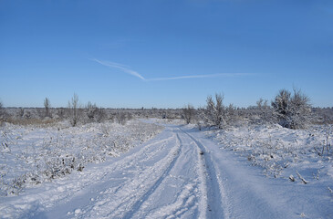 Obraz premium Winter landscape with interesting swoosh cloud.
