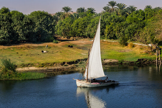 Segelboot, Feluke auf dem Nil in &Auml;gypten