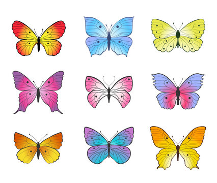 set of butterflies drawn in line art style, colorful illustration. various shapes vector butterflies on white background