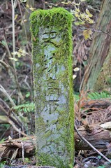 高取城跡 苔むした石碑
