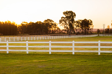 White post and rail plastic fencing in paddock of mown grass