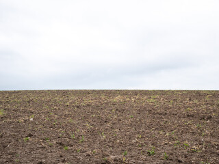 Farm field landscape after harvest.