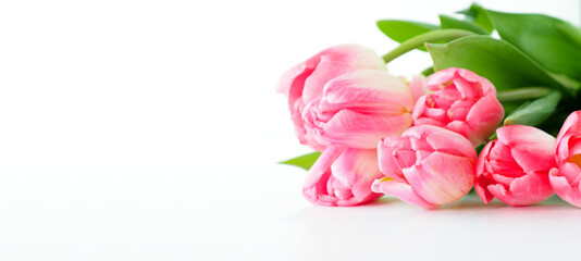 banner bouquet pink tulips isolate on white background..