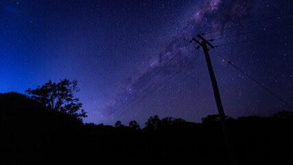horizontal shot of some silhouette of trees, bushes and electric post of wires at dawn with stars