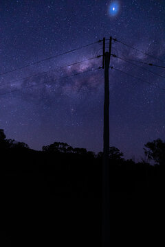 vertical shot of some silhouette of trees, bushes and electric post of wires at dawn with stars