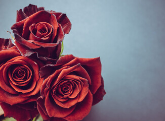 Red roses for Valentine's Day, Mother's Day, marriage proposal, engagement, birthday, anniversary or wedding.