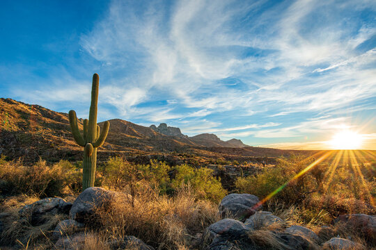 Desert Landscape with sun on horizon.
