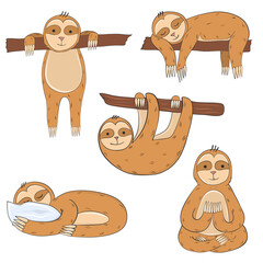 Fototapeta premium Set of funny sloths lying on branch and sleeping hand drawn