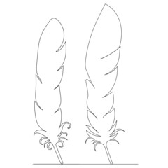 bird feather drawing by one continuous line, isolated, vector