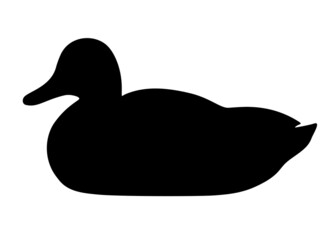 Big duck. Vector image.