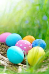 Fototapeta na wymiar Decorated Easter eggs in grass outdoor, Happy Easter background