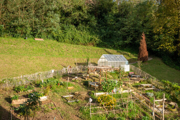 Greenhouse in a vegetable garden