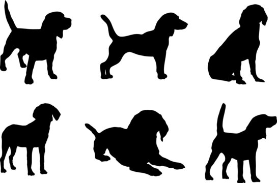 Beagle Dog Silhouette Vector Pack