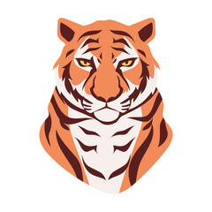 tiger animal portrait