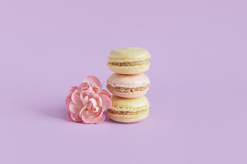 Tasty french macaroons with tender flower on a violet pastel background.