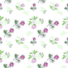 seamless pattern delicate flowers roses linear drawing