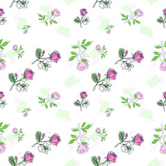 seamless pattern delicate flowers roses linear drawing