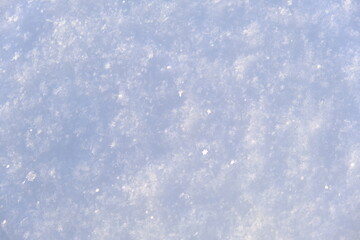 Winter in Russian cities, fields and forests, January cold. Field, grass, land.