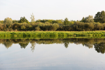 Autumn forest behind the lake. Sky with sun and white clouds. Red-green forest.