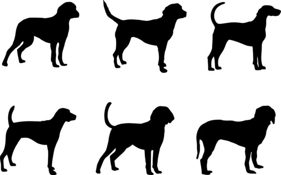 American Foxhound Dog Silhouette Vector Pack