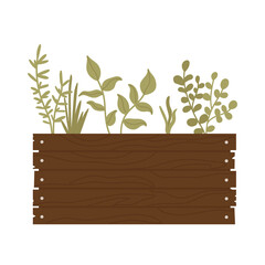 Wooden box with growing plants. Planting process. Home gardening, horticulture care for the environment concept. Vector illustration in cartoon style. Isolated on white background.