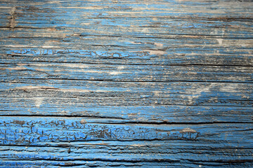 Blue background, old wood texture, bark closeup