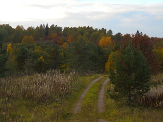 the road to the rainbow autumn forest