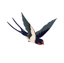 Cute swallow concept. Colorful sticker with bird flying down with beautiful wings spread. Free animal. Design element for social media. Cartoon flat vector illustration isolated on white background