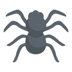 Spider bug icon cartoon vector. Widow animal. Bite spider