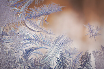 Feathery frost on window pane.