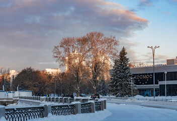 Trees in the winter at sunrise.