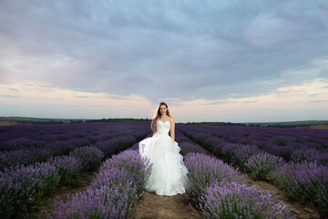 Woman in a field of lavender flowers at sunset or sunrise in a white dress. France, Provence.