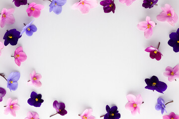 Fototapeta na wymiar Spring or summer flower composition with edible violets on white background. Flat lay, copy space. Healthy life and flowers concept.