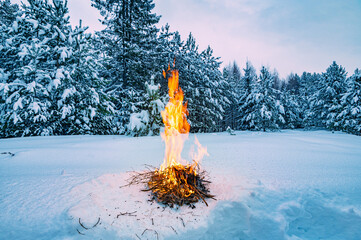 Campfire burns in the snow in the woods, on a background of snow covered trees. campfire burning in cold winter. Snow, forest and fire. Winter. Tourism. Flames on snow. Winter background. Nature.