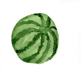 Bright whole watercolor whole watermelon. hand-drawn