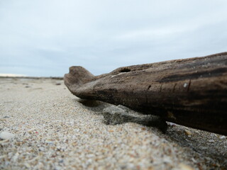 B&acirc;ton pos&eacute;e sur la plage
