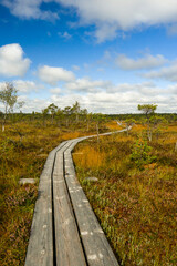 Bog Boardwalk in Kemeri National Park, Jurmala Latvia. Curve wooden pathway between swamps, grass, lakes, forest.Beautiful Latvian landscape captured in the reddish autumn; popular tourist attraction