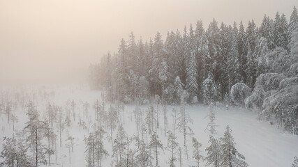 aeer snow-covered forest from above