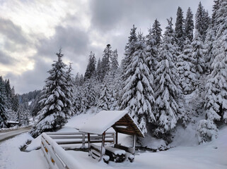 evening in mountains. gazebo for relaxing in the forest. carpathian mountains.
