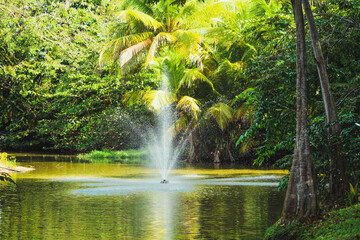 Fototapeta na wymiar Fuente sobre lago, Humacao, Puerto Rico
