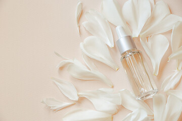 Face serum and white flower petals on trendy pastel beige background. Natural cosmetics with aromatic oil.