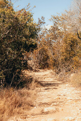 Bosque Seco de Guánica, Puerto Rico