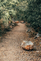 Bosque Seco de Guánica, Puerto Rico