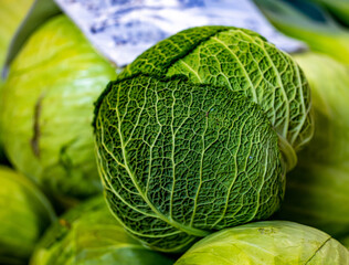 cabbage on the market