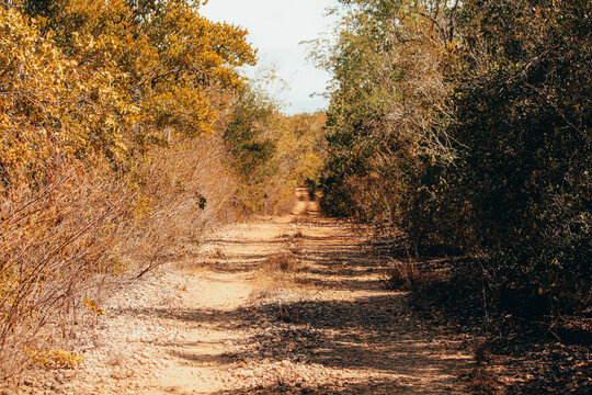 Bosque Seco de Gu&aacute;nica, Puerto Rico