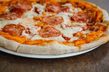 A tasty pizza with mozzarella.