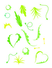 vector plants of green color without background