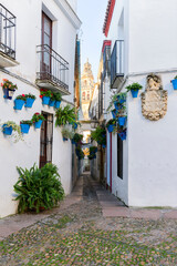 Fototapeta na wymiar Cordoba, Spain. Calleja de las flores, a famous narrow street in Cordoba, Spain during the traditional flower festival of the patios