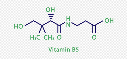 Vitamin B5 chemical formula. Vitamin B5 structural chemical formula isolated on transparent background.